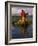 Traditiona Totora Reed Boat & Aymara, Lake Titicaca, Bolivia / Peru, South America-Pete Oxford-Framed Photographic Print