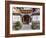 Traditional Architecture in Jianshui, Yunnan, China-Nadia Isakova-Framed Photographic Print