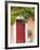 Traditional Architecture in Roussillon, Provence, France-Nadia Isakova-Framed Photographic Print