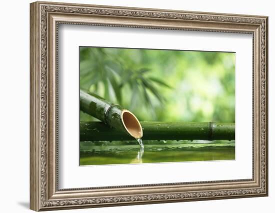 Traditional Asian Bamboo Fountain-Sofiaworld-Framed Photographic Print