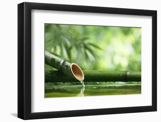 Traditional Asian Bamboo Fountain-Sofiaworld-Framed Photographic Print