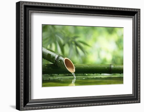 Traditional Asian Bamboo Fountain-Sofiaworld-Framed Photographic Print