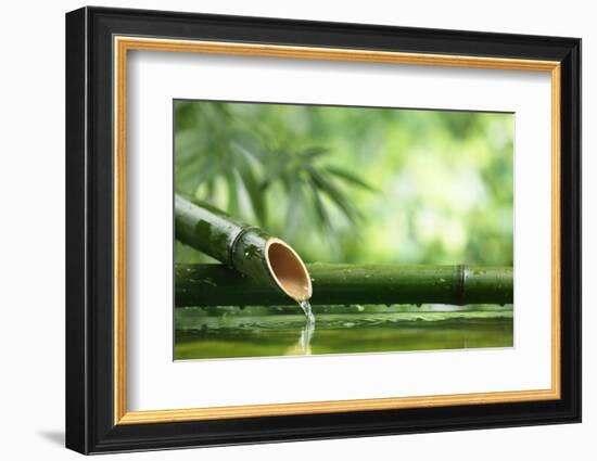 Traditional Asian Bamboo Fountain-Sofiaworld-Framed Photographic Print