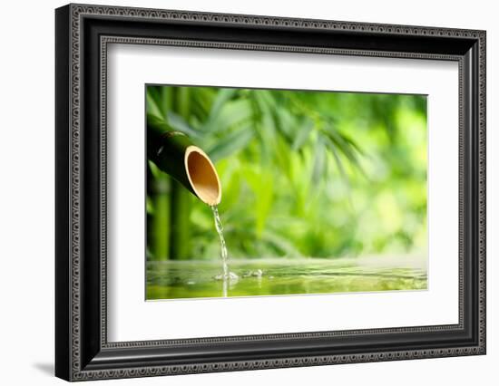 Traditional Asian Fountain-Sofiaworld-Framed Photographic Print