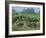 Traditional Bamboo Waterwheel, Guilin, China, Asia-Gina Corrigan-Framed Photographic Print