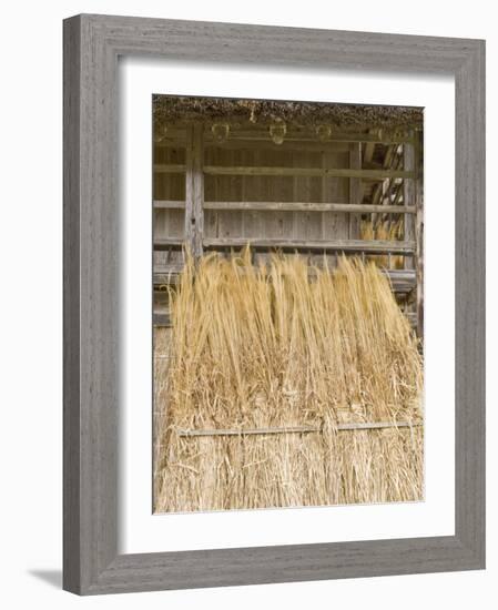 Traditional Barn, Shirakawago, Gifu, Japan-Rob Tilley-Framed Photographic Print