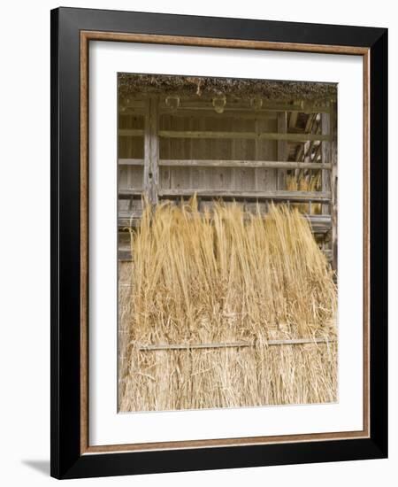 Traditional Barn, Shirakawago, Gifu, Japan-Rob Tilley-Framed Photographic Print