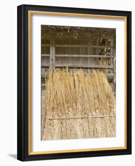 Traditional Barn, Shirakawago, Gifu, Japan-Rob Tilley-Framed Photographic Print
