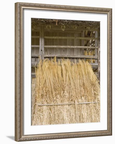 Traditional Barn, Shirakawago, Gifu, Japan-Rob Tilley-Framed Photographic Print