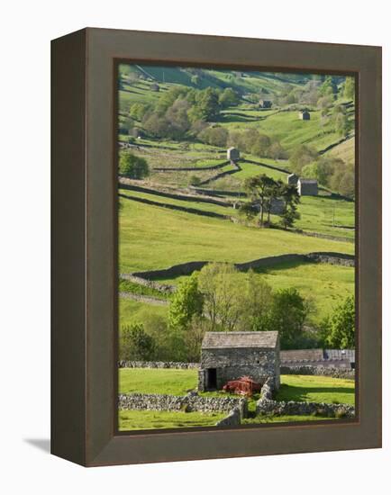 Traditional Barns and Dry Stone Walls in Swaledale, Yorkshire Dales National Park, England-John Woodworth-Framed Premier Image Canvas