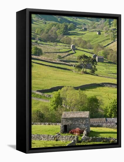 Traditional Barns and Dry Stone Walls in Swaledale, Yorkshire Dales National Park, England-John Woodworth-Framed Premier Image Canvas