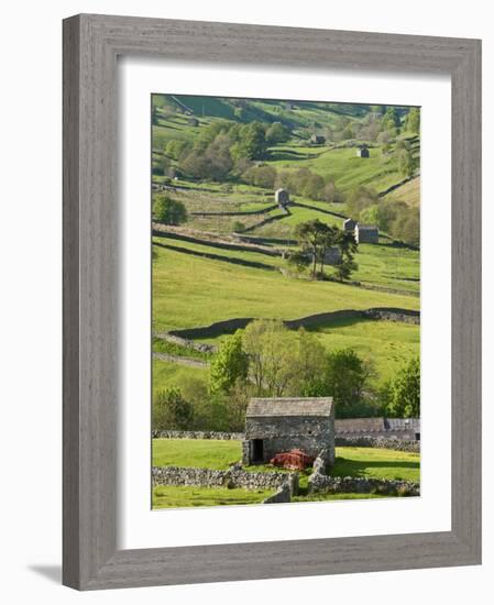 Traditional Barns and Dry Stone Walls in Swaledale, Yorkshire Dales National Park, England-John Woodworth-Framed Photographic Print