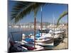Traditional Boats Moored in the Harbour, Port D'Alcudia, Mallorca, Balearic Islands, Spain, Mediter-Ruth Tomlinson-Mounted Photographic Print
