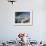 Traditional Boats Moored in the Harbour, Port D'Alcudia, Mallorca, Balearic Islands, Spain, Mediter-Ruth Tomlinson-Framed Photographic Print displayed on a wall