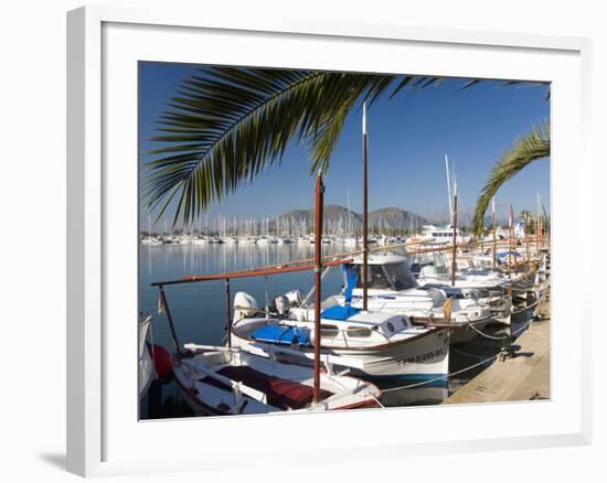 Traditional Boats Moored in the Harbour, Port D'Alcudia, Mallorca, Balearic Islands, Spain, Mediter-Ruth Tomlinson-Framed Photographic Print