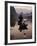 Traditional Chinese Fisherman with Cormorants, Li River, Guilin, China-Adam Jones-Framed Photographic Print