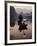 Traditional Chinese Fisherman with Cormorants, Li River, Guilin, China-Adam Jones-Framed Photographic Print