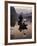 Traditional Chinese Fisherman with Cormorants, Li River, Guilin, China-Adam Jones-Framed Photographic Print