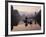 Traditional Chinese Fisherman with Cormorants, Li River, Guilin, China-Adam Jones-Framed Photographic Print