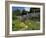 Traditional Cotswold Stone Cottages, Bibury, Gloucestershire, Cotswolds, England, UK-Neale Clarke-Framed Photographic Print