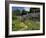 Traditional Cotswold Stone Cottages, Bibury, Gloucestershire, Cotswolds, England, UK-Neale Clarke-Framed Photographic Print