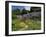 Traditional Cotswold Stone Cottages, Bibury, Gloucestershire, Cotswolds, England, UK-Neale Clarke-Framed Photographic Print