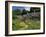 Traditional Cotswold Stone Cottages, Bibury, Gloucestershire, Cotswolds, England, UK-Neale Clarke-Framed Photographic Print