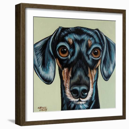 Traditional Dachshund-Carolee Vitaletti-Framed Art Print