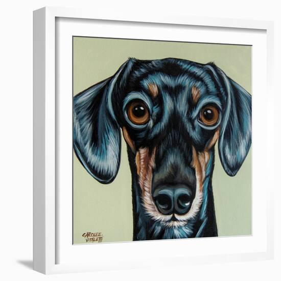 Traditional Dachshund-Carolee Vitaletti-Framed Art Print