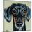 Traditional Dachshund-Carolee Vitaletti-Mounted Art Print