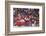 Traditional Dancer at the Paro Festival, Paro, Bhutan, Asia-Jordan Banks-Framed Photographic Print