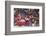 Traditional Dancer at the Paro Festival, Paro, Bhutan, Asia-Jordan Banks-Framed Photographic Print