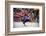 Traditional Dancers at the Paro Festival, Paro, Bhutan, Asia-Jordan Banks-Framed Photographic Print