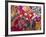 Traditional Day of the Dead Breads, Oaxaca, Mexico-Judith Haden-Framed Photographic Print