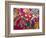 Traditional Day of the Dead Breads, Oaxaca, Mexico-Judith Haden-Framed Photographic Print