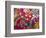 Traditional Day of the Dead Breads, Oaxaca, Mexico-Judith Haden-Framed Photographic Print