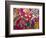 Traditional Day of the Dead Breads, Oaxaca, Mexico-Judith Haden-Framed Photographic Print
