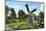 Traditional Dutch Windmill, Zuiderzee Open Air Museum, Lake Ijssel-Peter Richardson-Mounted Photographic Print