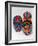 Traditional Ethnic Arts, Huichol Indian Beadwork, Huichol Mythology, Mexico-Russell Gordon-Framed Photographic Print