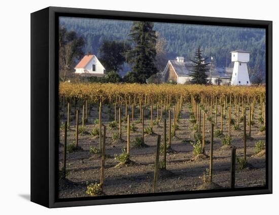 Traditional Farm House with Barn and Watertower, Napa Valley, Oregon, USA-Janis Miglavs-Framed Premier Image Canvas