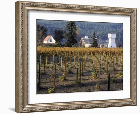 Traditional Farm House with Barn and Watertower, Napa Valley, Oregon, USA-Janis Miglavs-Framed Photographic Print