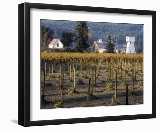 Traditional Farm House with Barn and Watertower, Napa Valley, Oregon, USA-Janis Miglavs-Framed Photographic Print