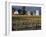 Traditional Farm House with Barn and Watertower, Napa Valley, Oregon, USA-Janis Miglavs-Framed Photographic Print