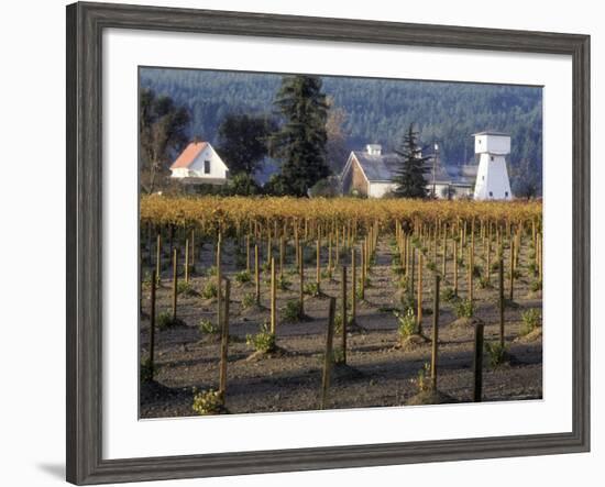 Traditional Farm House with Barn and Watertower, Napa Valley, Oregon, USA-Janis Miglavs-Framed Photographic Print