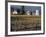 Traditional Farm House with Barn and Watertower, Napa Valley, Oregon, USA-Janis Miglavs-Framed Photographic Print