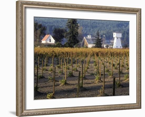 Traditional Farm House with Barn and Watertower, Napa Valley, Oregon, USA-Janis Miglavs-Framed Photographic Print