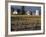 Traditional Farm House with Barn and Watertower, Napa Valley, Oregon, USA-Janis Miglavs-Framed Photographic Print