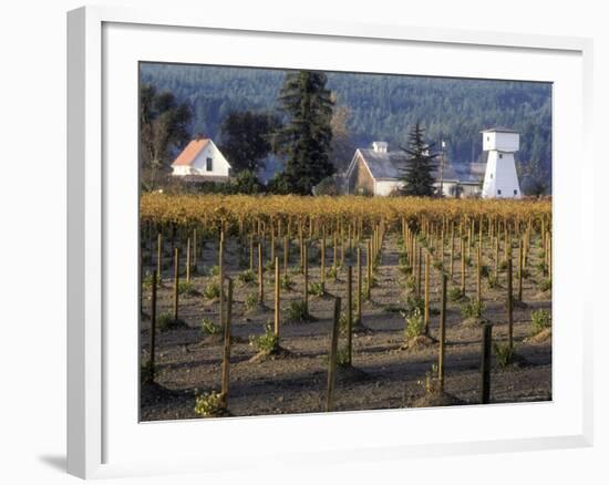 Traditional Farm House with Barn and Watertower, Napa Valley, Oregon, USA-Janis Miglavs-Framed Photographic Print