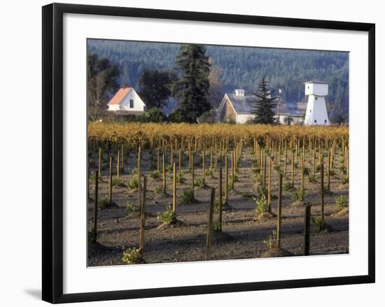 Traditional Farm House with Barn and Watertower, Napa Valley, Oregon, USA-Janis Miglavs-Framed Photographic Print