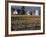 Traditional Farm House with Barn and Watertower, Napa Valley, Oregon, USA-Janis Miglavs-Framed Photographic Print